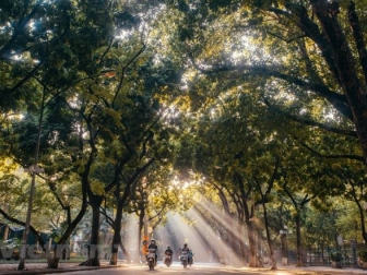 Phan Dinh Phung Street in Hanoi Autumn: A Timeless Stroll Through Golden Leaves